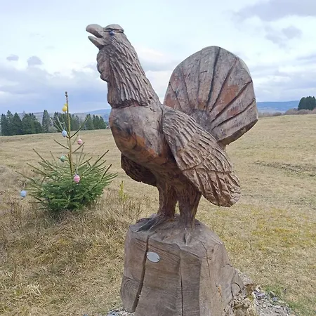 Urlaub Im Harz, Wald, Berge, Natur, Gewaesser, Fuer Wanderer, Sportler Und Mauntainbiker Appartement *